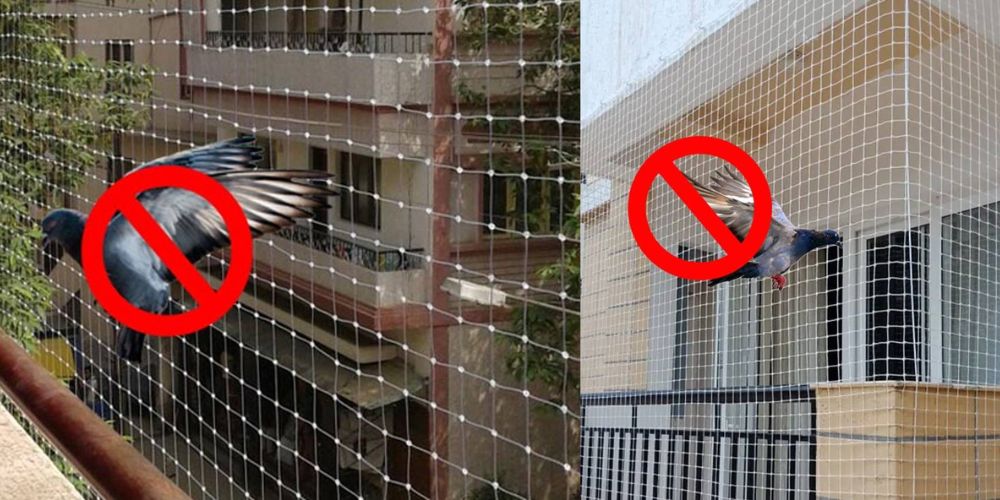 Pigeon Nets Installation in Bangalore | Call Now at 7676882963