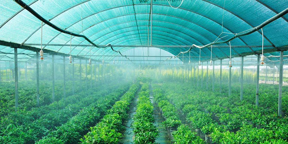 Agriculture Shade Nets in Bangalore | Call 7676882963 for Service